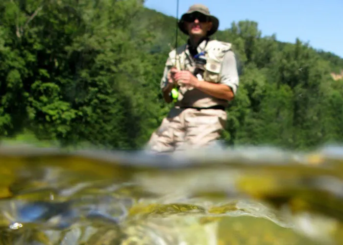 מלון St George &